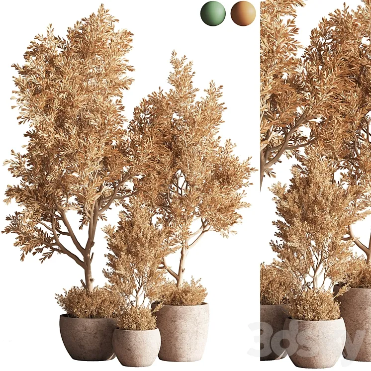 Indoor_Plant_Set_63 3D Model Free