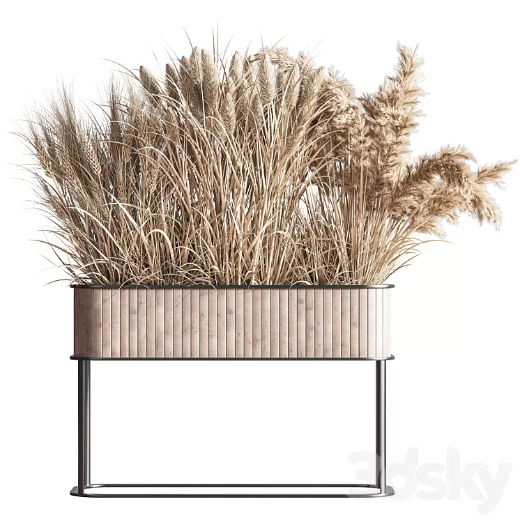 Indoor_Plant_Set_76(Dry_flowers_) 3D Model Free