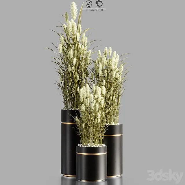 Indoor_Plant_Set_81 3D Model