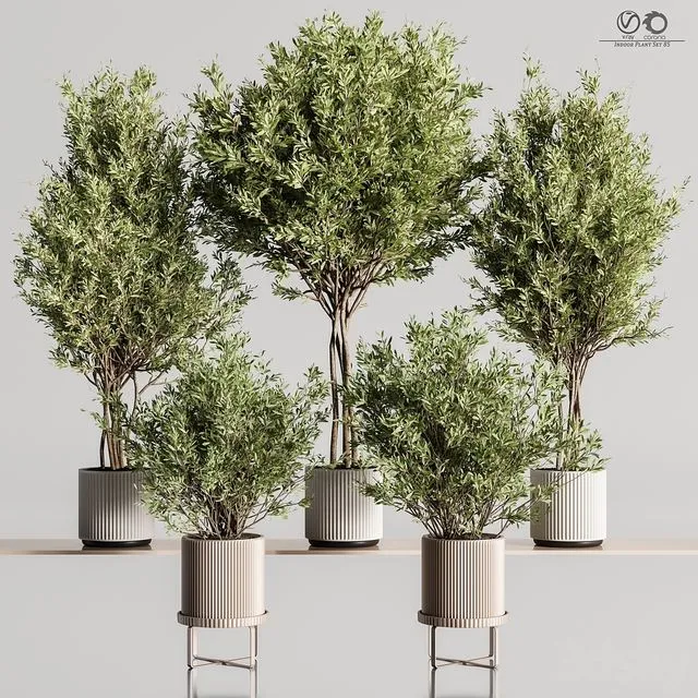 Indoor_Plant_Set_85 3D Model