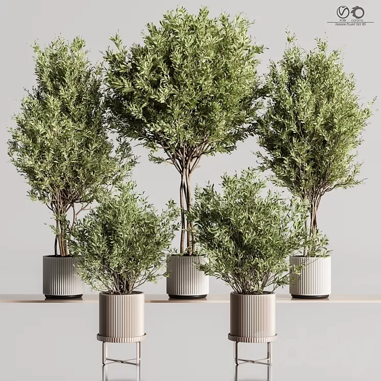 Indoor_Plant_Set_85 3D Model Free
