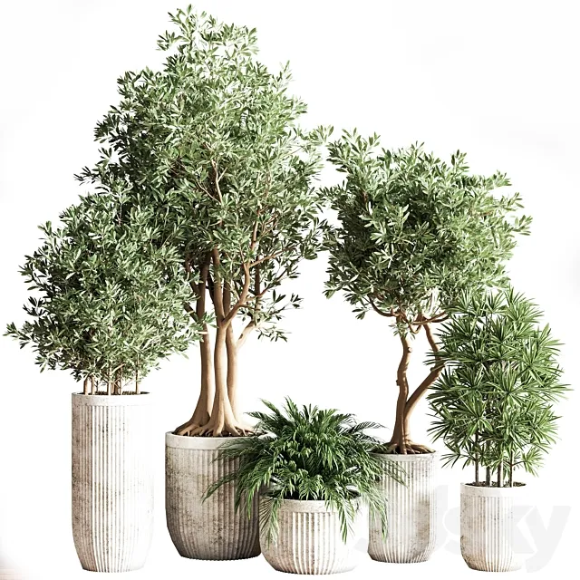Indoor_Set_Plsnt14 3D Model