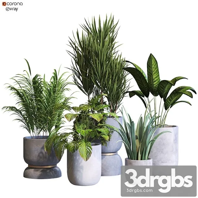 Inferior plant collaction set 294