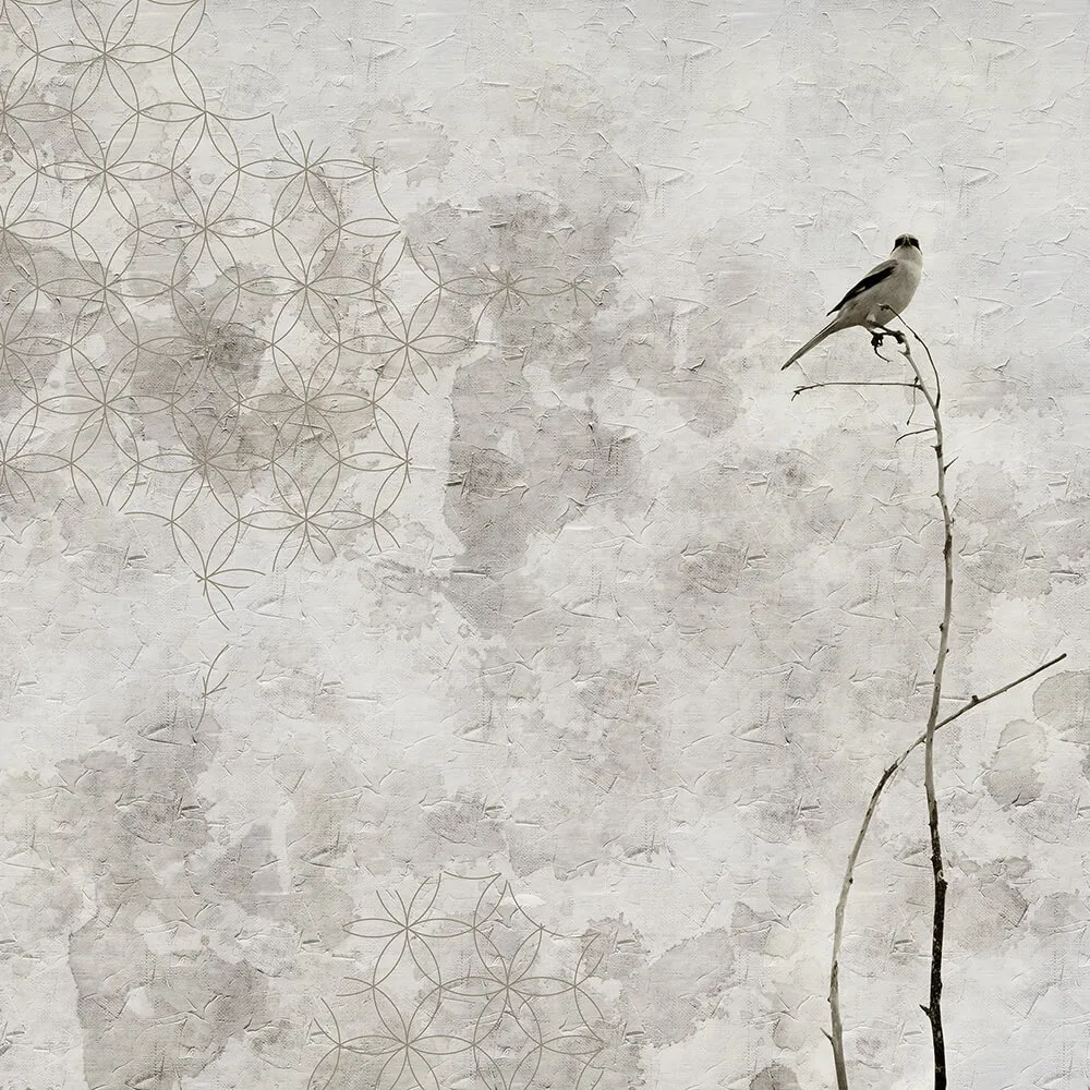 INSTABILELAB - Wallpaper Alone 3D Model