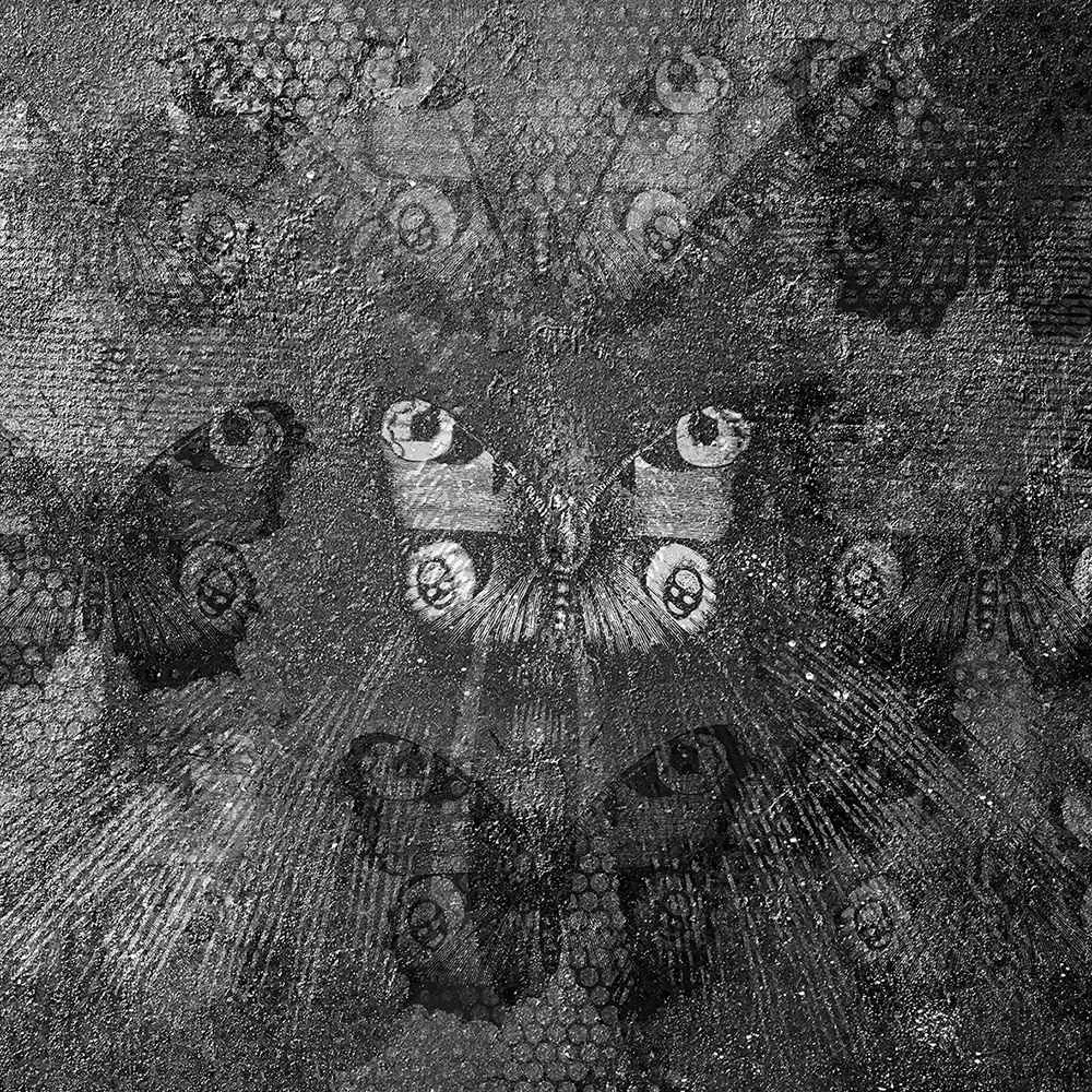 INSTABILELAB - Wallpaper The Butterfly 3D Model