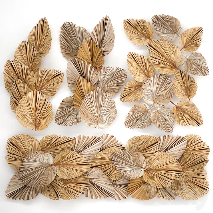 Installation and decoration for walls in eco-style made of dried flowers and dry palm leaf. Set 228. 3D Model Free