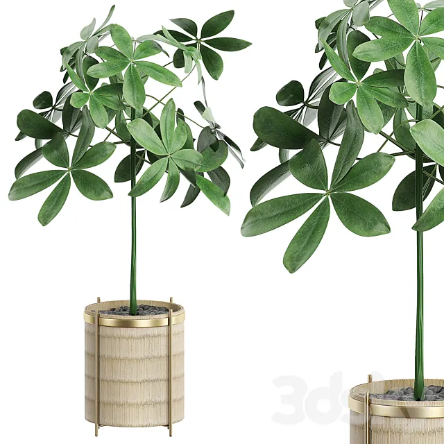 INTERIOR FLOWER 23 3DModel