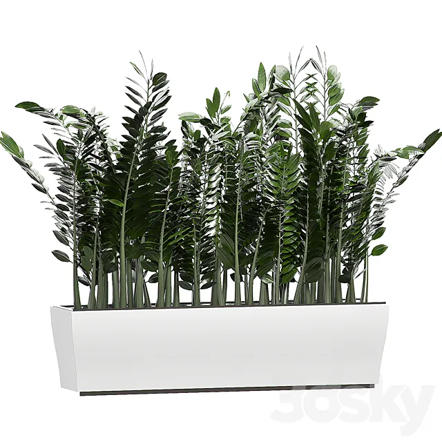 INTERIOR FLOWER 86 3D Model