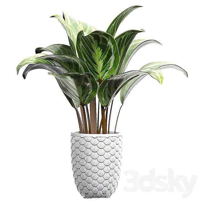 INTERIOR FLOWER 87 3D Model