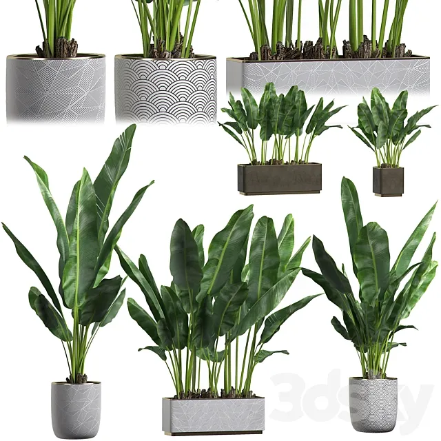 INTERIOR FLOWER PACK 1 3D Model