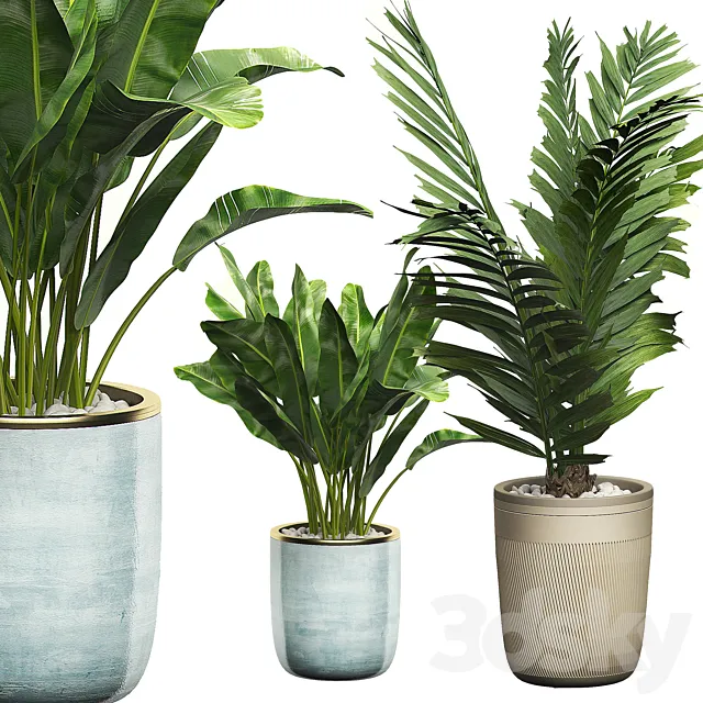 INTERIOR FLOWER PACK 10 - Window placing plants 3DModel