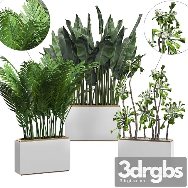 Interior flower pack 13 - zonning