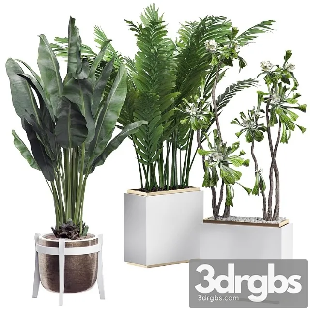 Interior flower pack 14 - zonning v. 2