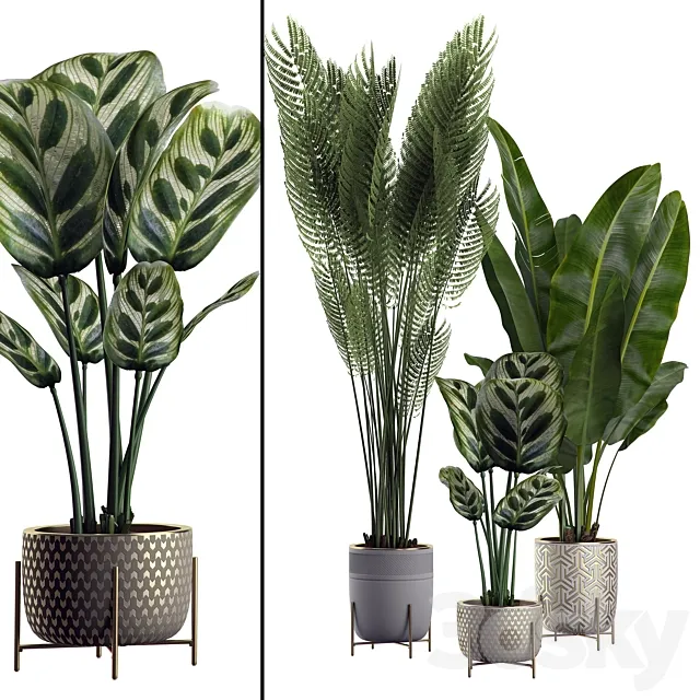 INTERIOR FLOWER PACK 2 3D Model