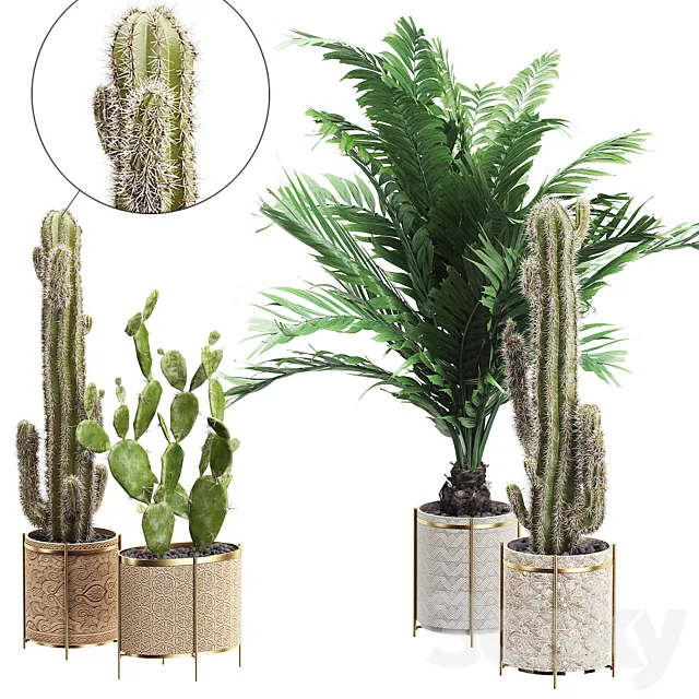 INTERIOR FLOWER PACK 20 - CACTUS. Part 4 3D Model