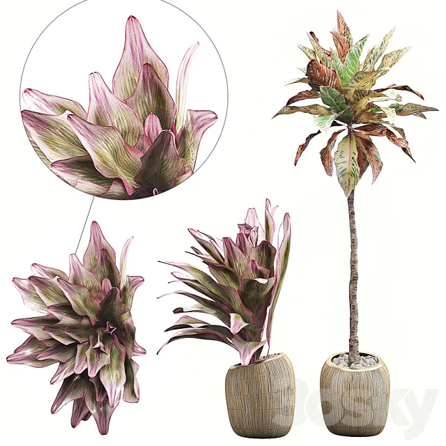 INTERIOR FLOWER PACK 34 3D Model