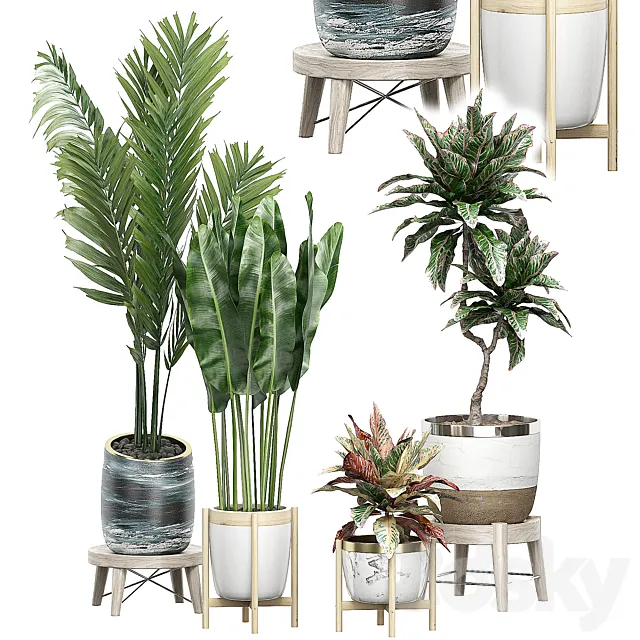 INTERIOR FLOWER PACK 42 3D Model