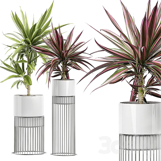 INTERIOR FLOWER PACK 51 3D Model