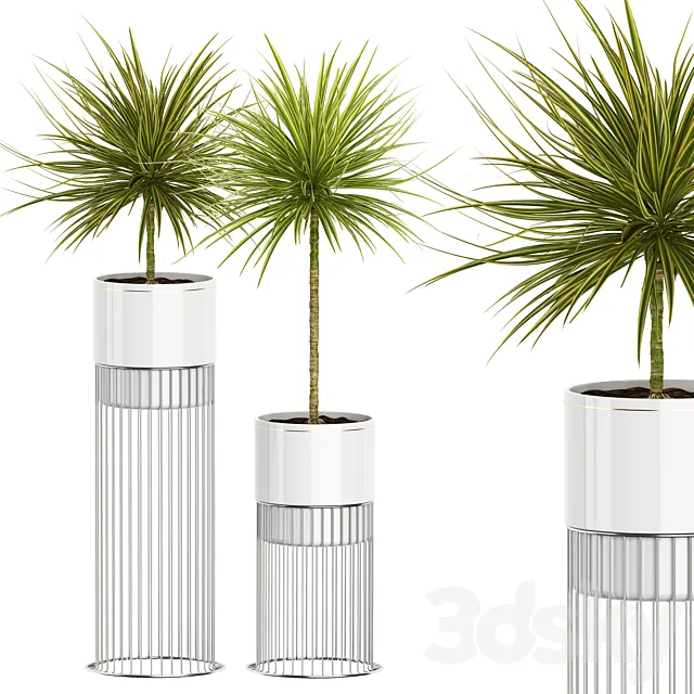 INTERIOR FLOWER PACK 55 3D Model