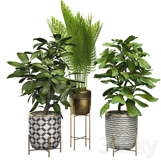 INTERIOR FLOWER PACK 6 3D Model