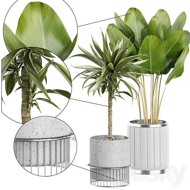 INTERIOR FLOWER PACK 62 3D Model