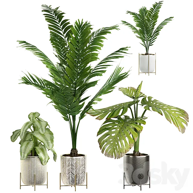 INTERIOR FLOWER PLANT PACK 4 3DModel