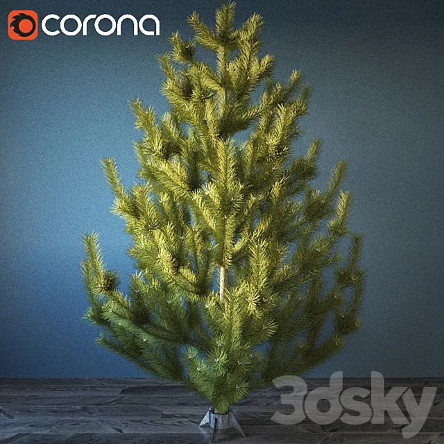 Interior pine 3D Model