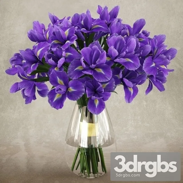 Iris Bouquet 3D Model Free