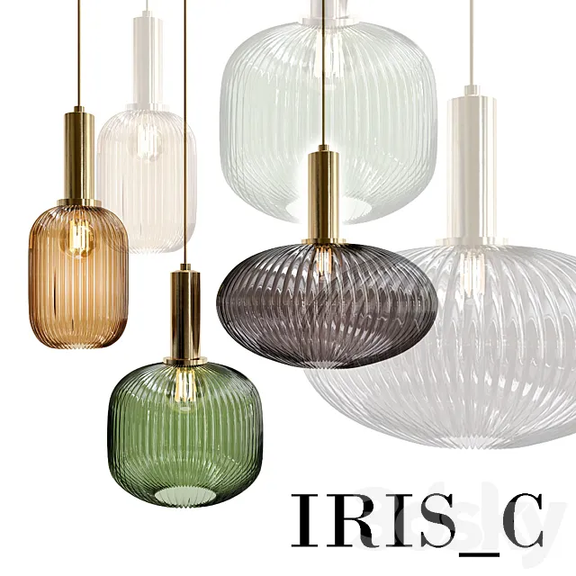iris c 3D Model