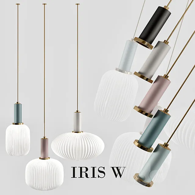iris_w 3D Model