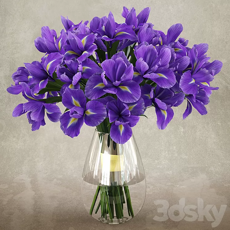 Irises 1 3D Model