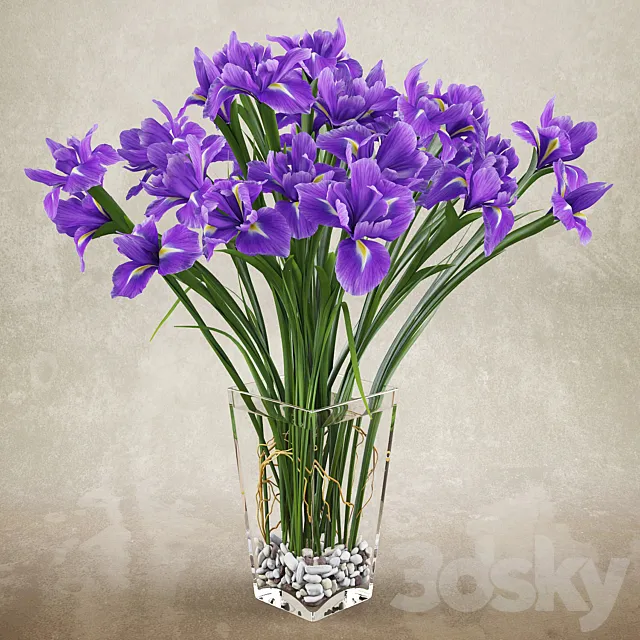 Irises 2 3DModel