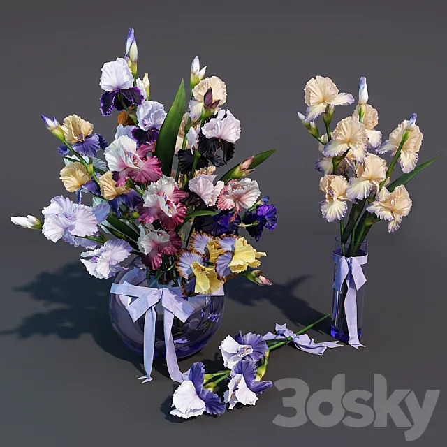 Irises 3D Model