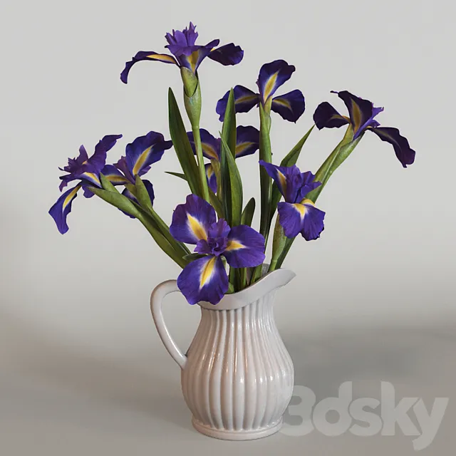 Irises 3DModel