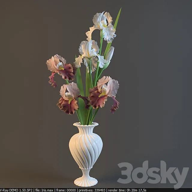 Irises in a vase 3DModel