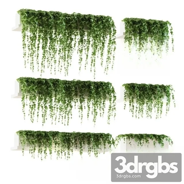 Ivy 4 Polki 3D Model Free