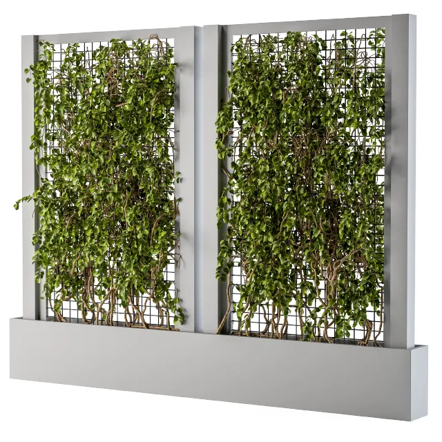 ivy Box Plants Gray 3D Model
