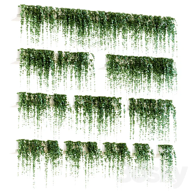 Ivy for shelves. 11 models 3DModel