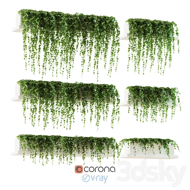Ivy for shelves 3DModel