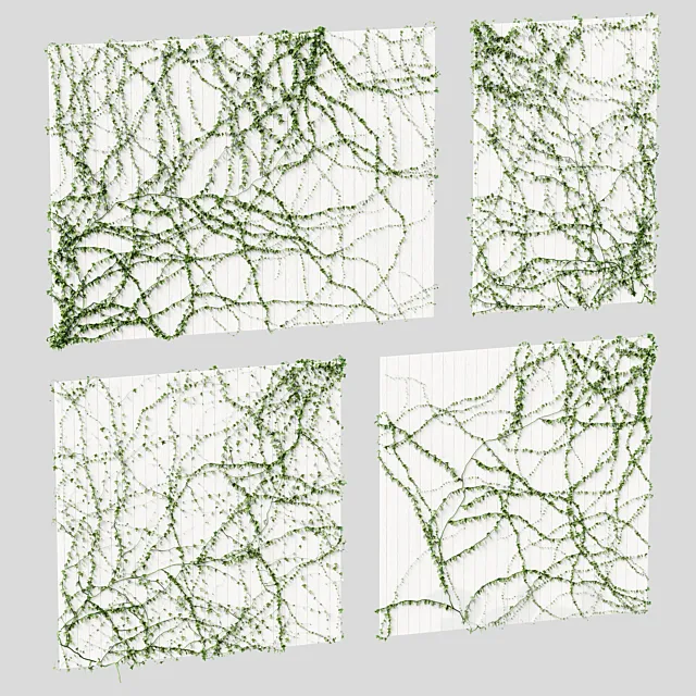 Ivy for the ceiling. 4 models 3DModel
