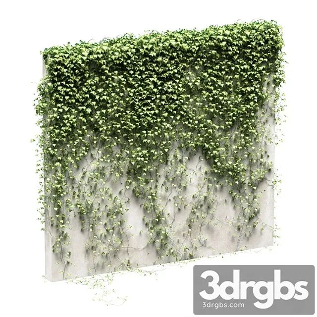 Ivy for the fence v3