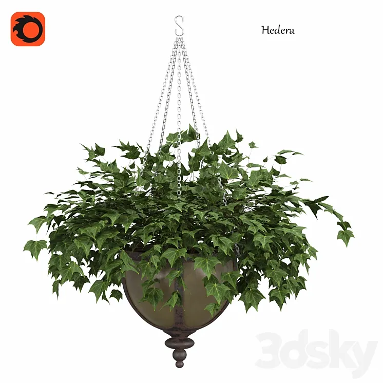 Ivy in a pot 3D Model Free