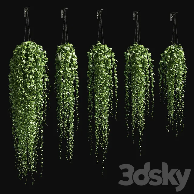 Ivy in a pot on the chain v3 3DModel