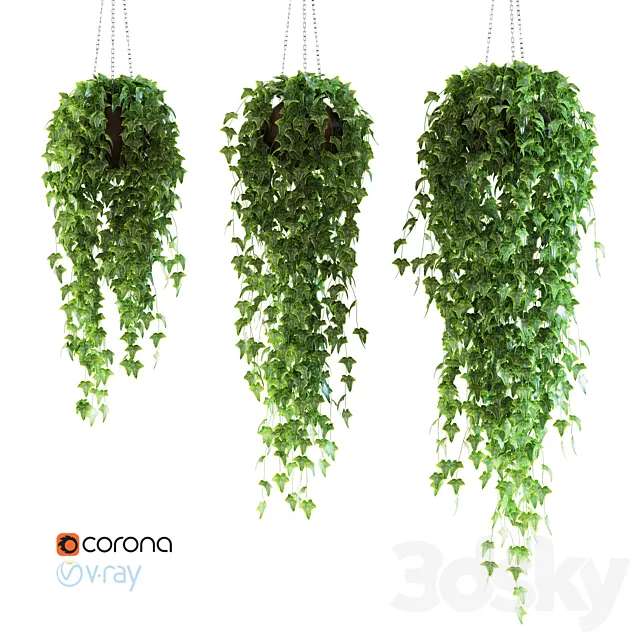 Ivy in a pot on the circuit 3DModel
