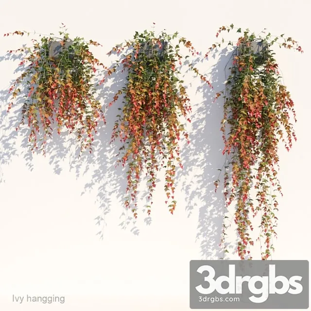 Ivy In Pot Hanging V1 3D Model Free