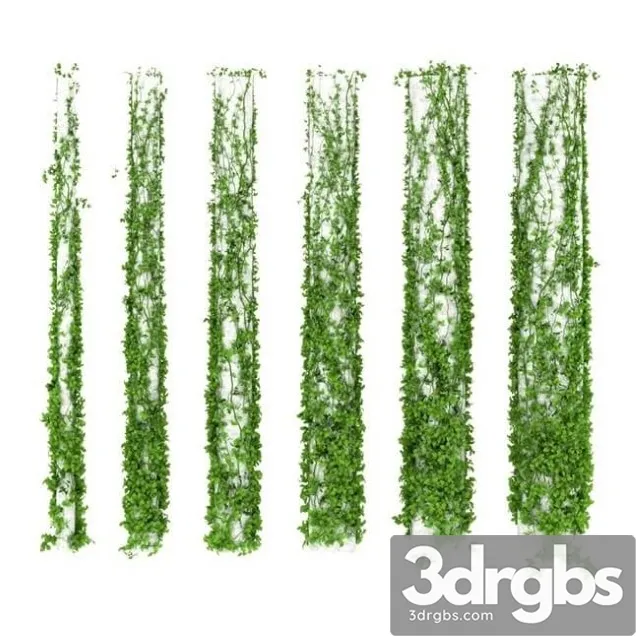 Ivy Leaves Plant Columns 3D Model Free