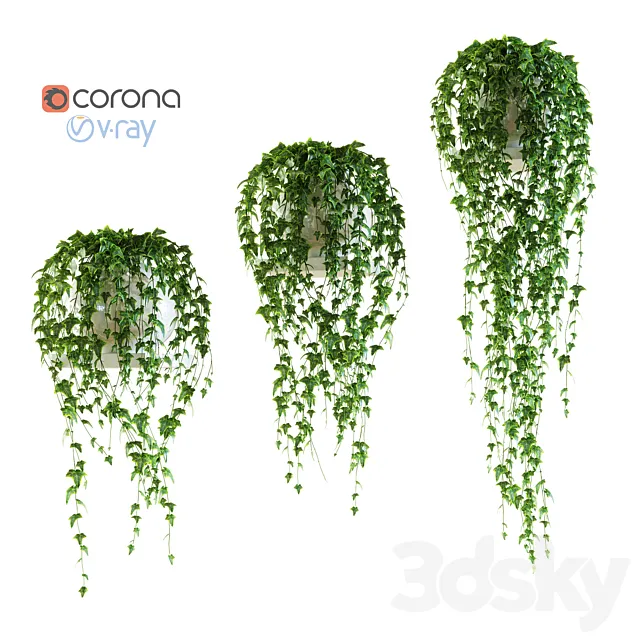 Ivy on a shelf in a pot Free Download
