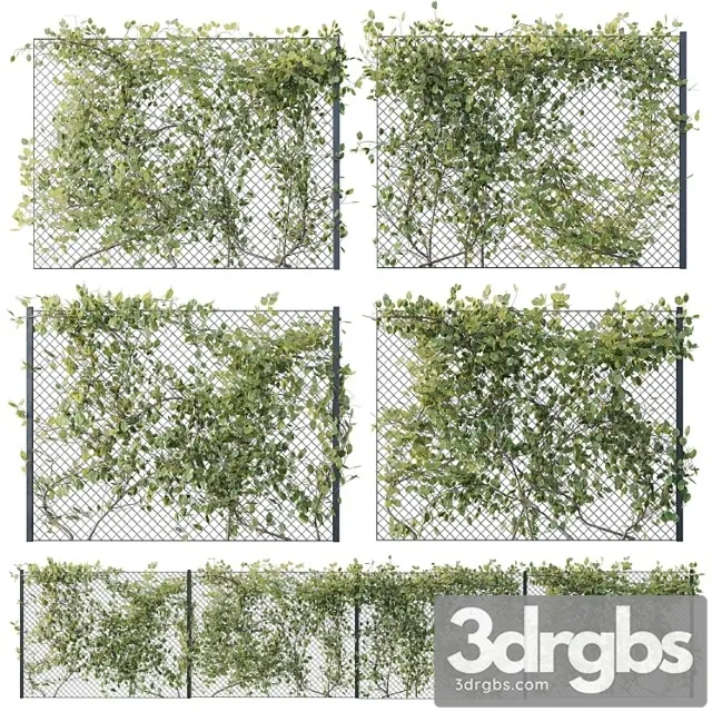 Ivy on fence 02 3D Model Download