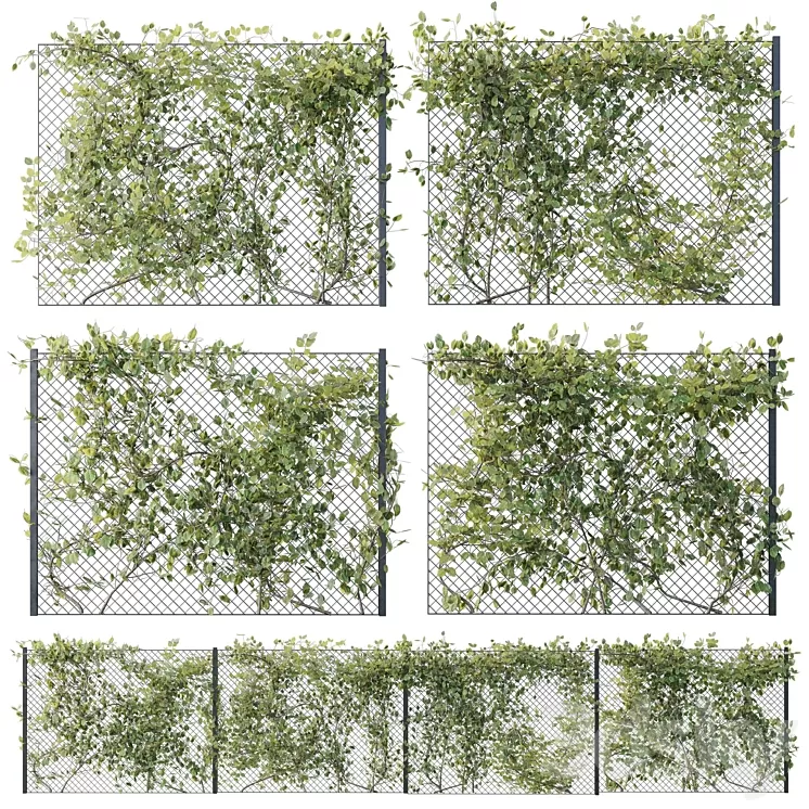 Ivy on Fence 02 3D Model