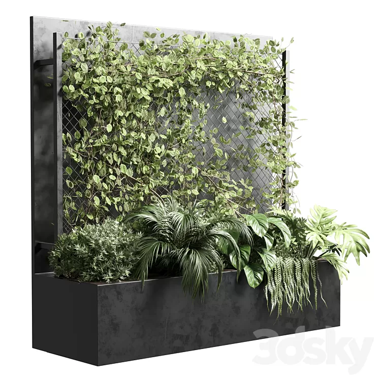 Ivy on Fence fitowall - vertical garden box 01 3D Model Free